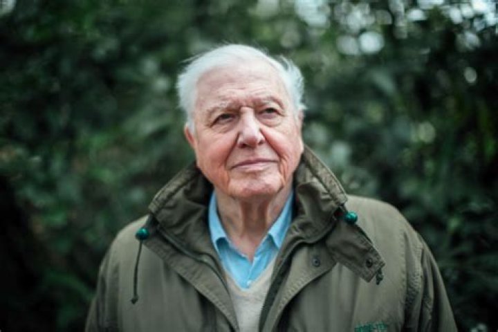 Meet Frederick Attenborough and Mary Attenborough