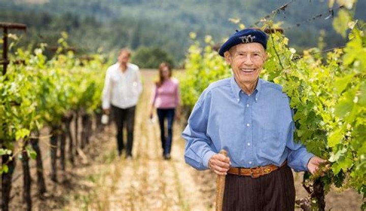 Miljenko Mike Grgich Obituary, Croatian-American Winemaker Has Passed Away