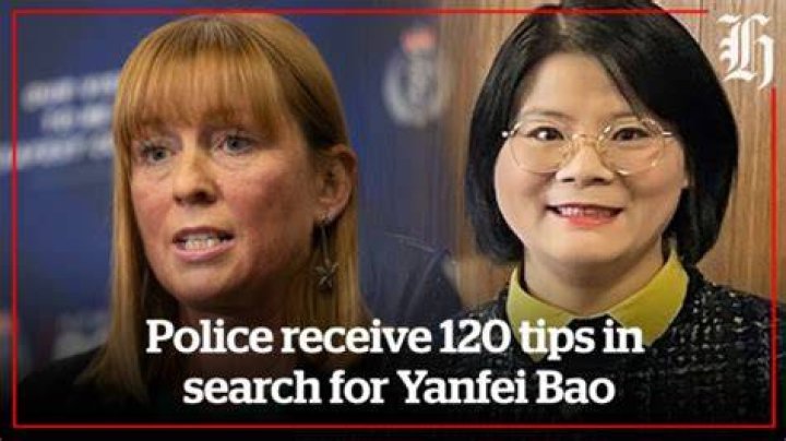 Police investigating Yanfei Bao's disappearance are appealing for information in relation to this top.